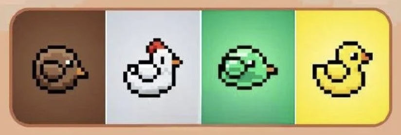 BIRD Daily Combo 11 March 2025